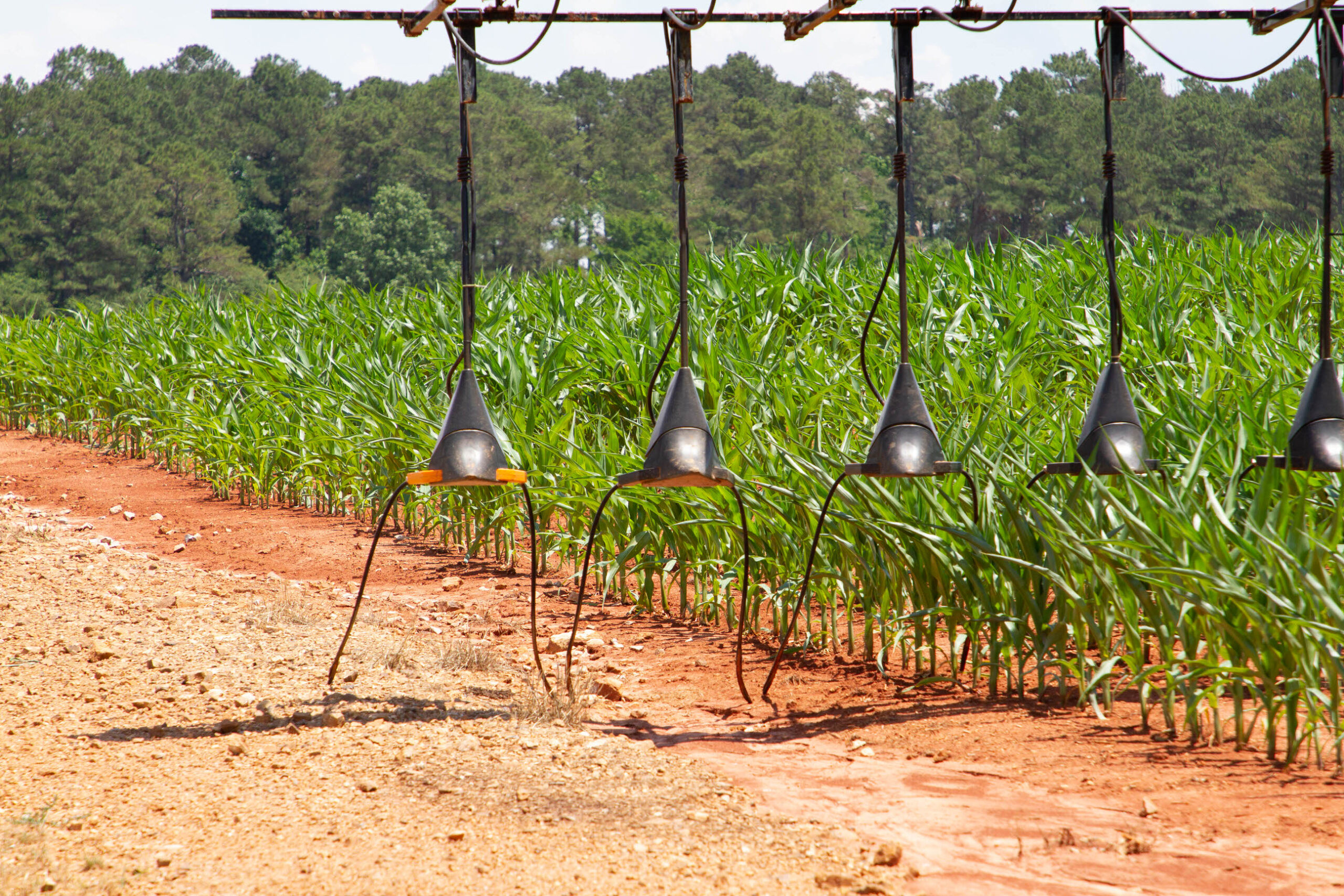 machine in corn field