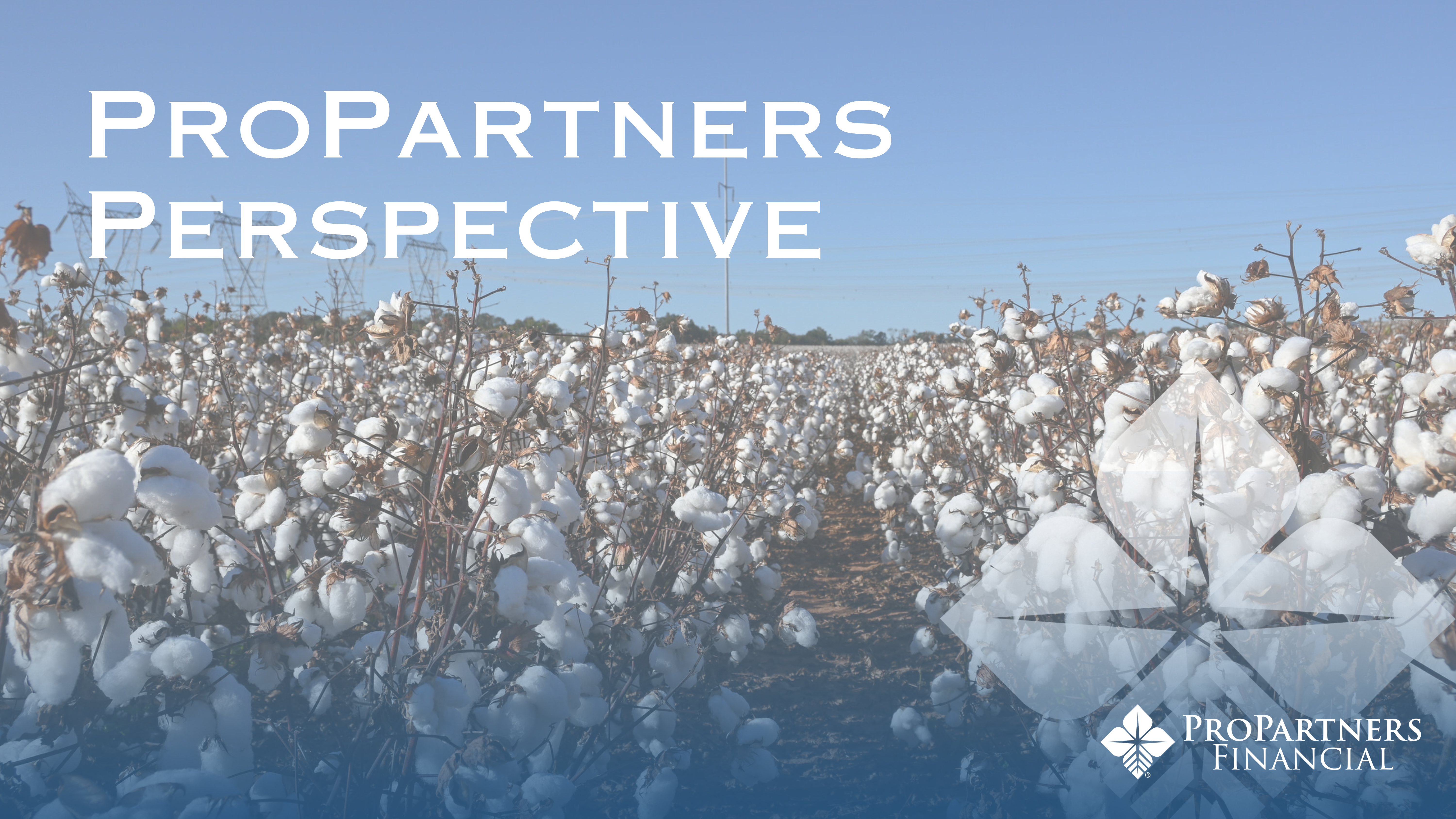 blog header with field of cotton and ProPartners logo