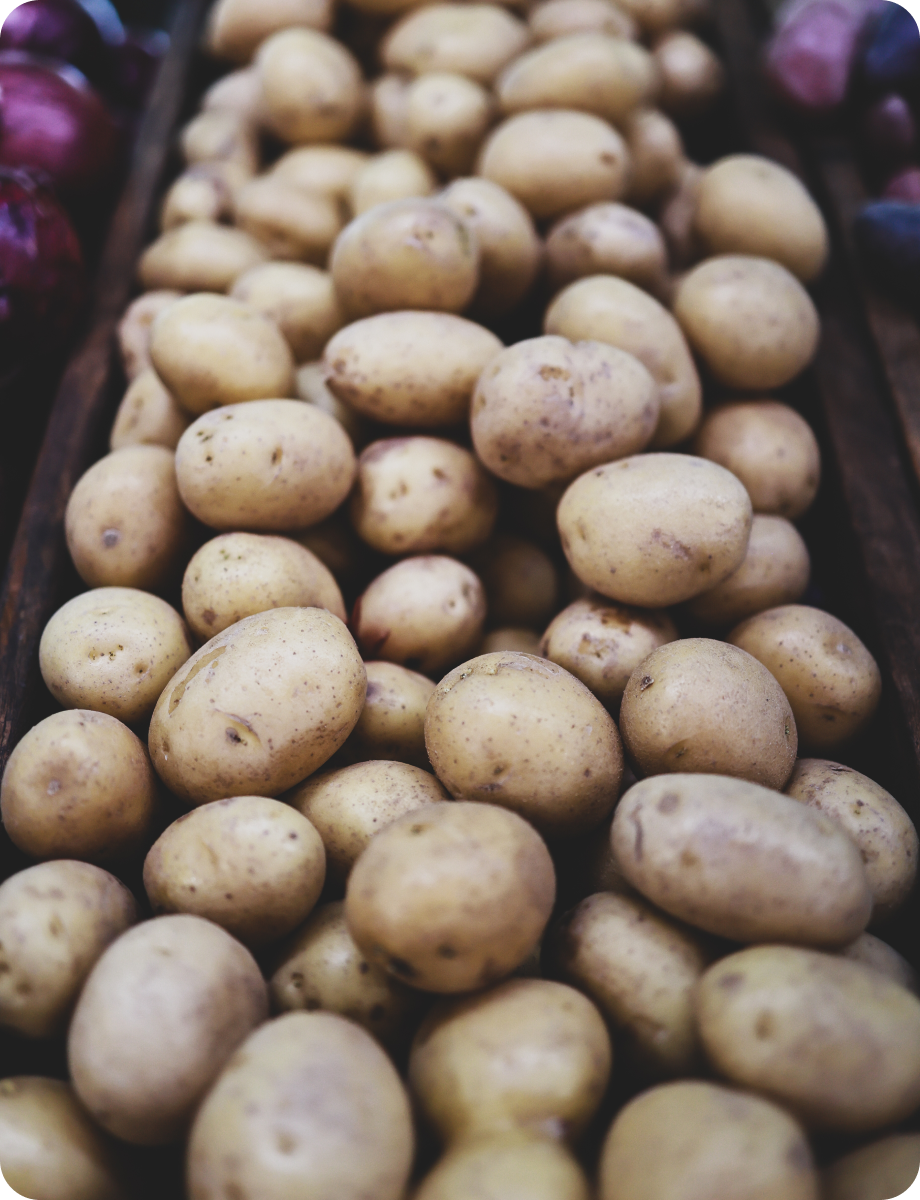 a bunch of potatoes