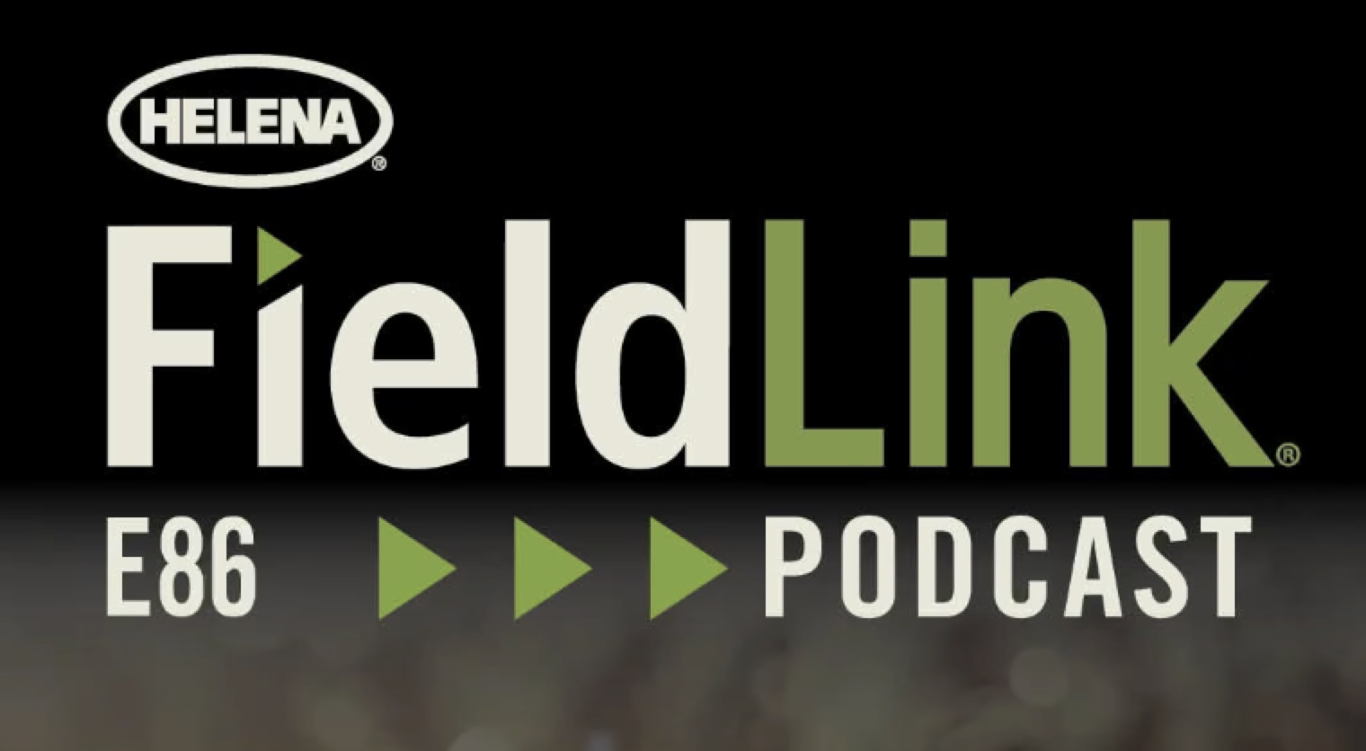 Image featuring the FieldLink logo.